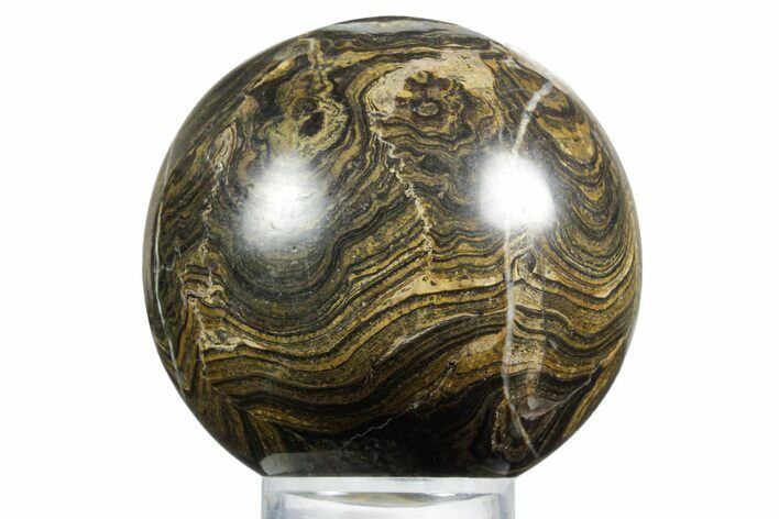 Polished Stromatolite (Greysonia) Sphere - Bolivia #355392